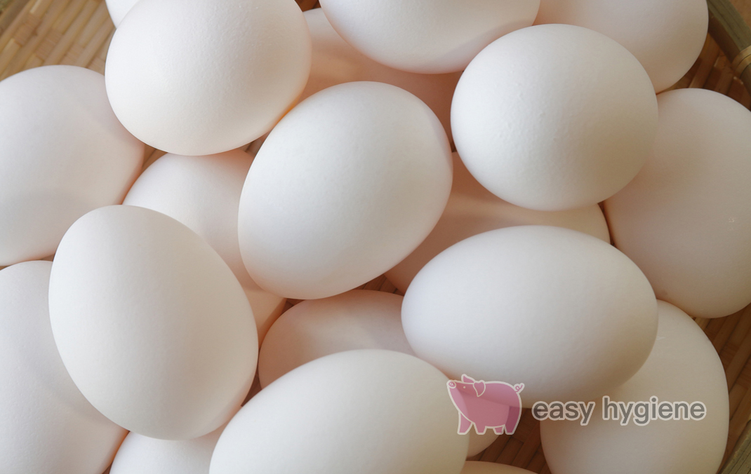 卵から発生しやすいサルモネラ菌